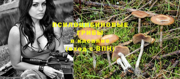 крисы Абдулино