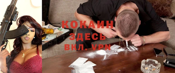 крисы Абдулино