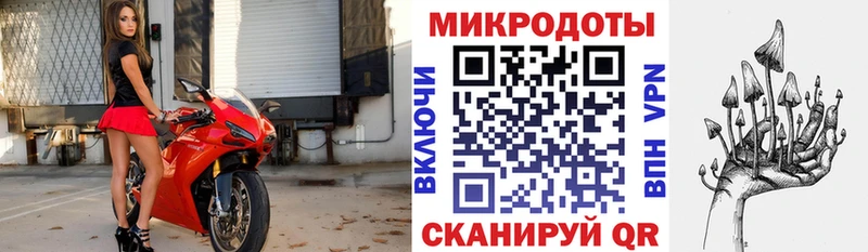 где купить   нарко площадка Telegram  Галлюциногенные грибы Psilocybe  Отрадный 