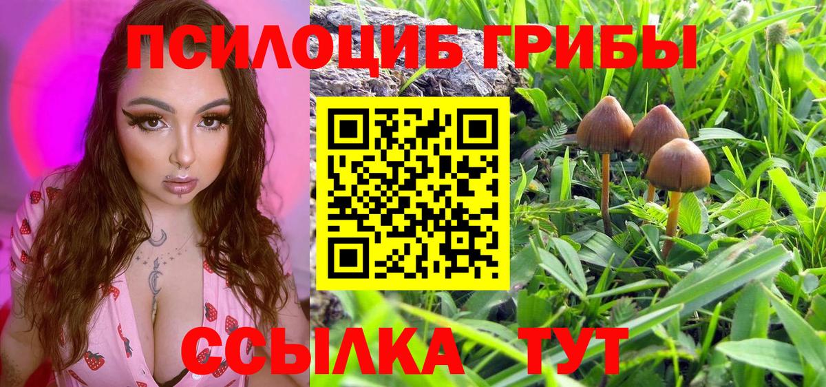 Псилоцибиновые грибы Cubensis  Псилоцибиновые грибы Cubensis  Вход с VPN  Отрадный 