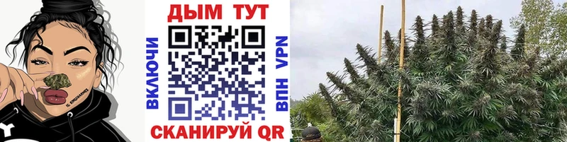 Канабис SATIVA & INDICA  мориарти Telegram  Отрадный 