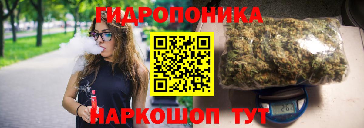 Каннабис AK-47 Отрадный